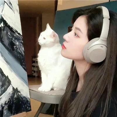 无瑕的房间